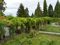 230727 Insel-Mainau148-neu