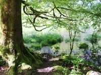 250730 Königssee-071-neu