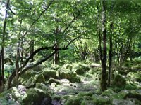 250730 Königssee-083-neu