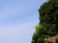 250806 Reussenstein-050-neu