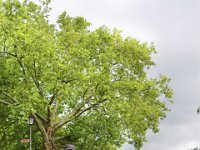 250729 Salzburg-003-neu