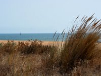 170808 Spanien 250a