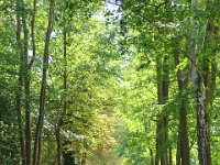 Spreewald 2024