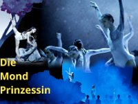 20250606 WGT-134-neu