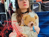 20250606 WGT-158-neu-2  Created with GIMP